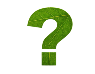 A green leaf-shaped question mark symbolizing curiosity and nature.