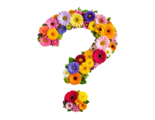 A vibrant arrangement of colorful flowers shaped like a question mark.