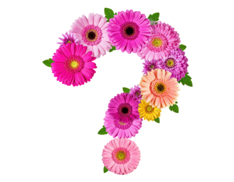 A vibrant arrangement of colorful flowers shaped like a question mark, showcasing various shades and types of blooms.