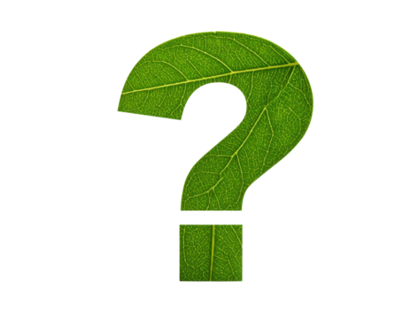 A green leaf-shaped question mark symbolizing curiosity and nature.