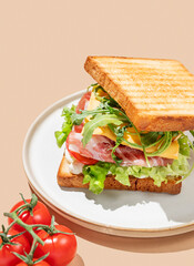 Club sandwich of toast bread with bacon, cheese, tomatoes, lettuce, arugula and sauce in a plate