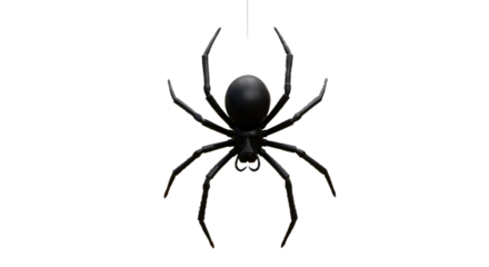Black Spider in Focus: Eerie and Realistic Detail on White