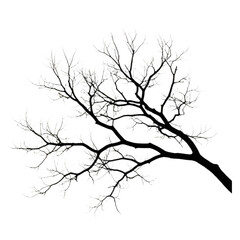 Fototapeta premium Bare Tree Branch: Eerie Elegance in Minimalist Contrast