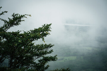 Misty landscape view with lush greenery mountainous region nature photography foggy environment serene perspective