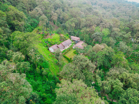 Beautiful Landscapes of Munnar with Tea Plantations &ndash; Aerial and Ground View