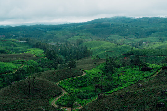 Beautiful Landscapes of Munnar with Tea Plantations &ndash; Aerial and Ground View