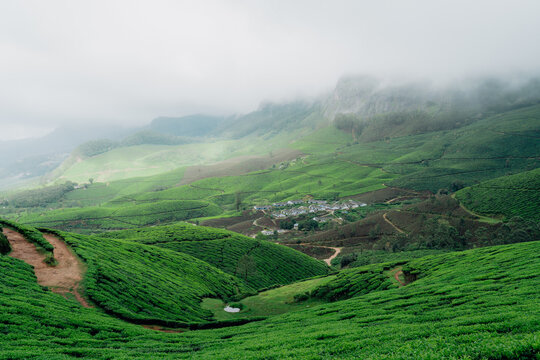 Beautiful Landscapes of Munnar with Tea Plantations &ndash; Aerial and Ground View