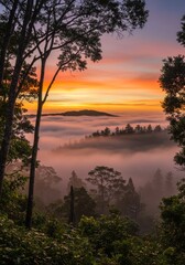 Fototapeta premium Sunrise Over Foggy Forest Landscape