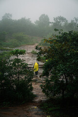 Exploring serene riverbanks misty forest photography nature close-up tranquility