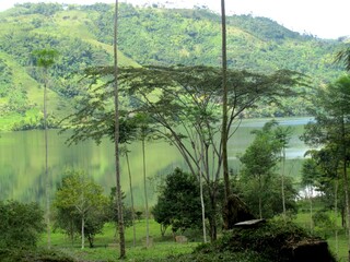 Fototapeta premium Naturaleza: tonalidades de verde en las montañas andinas del trópico 