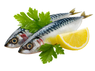  Focus on the sardine fillet and mackerel fish, white background