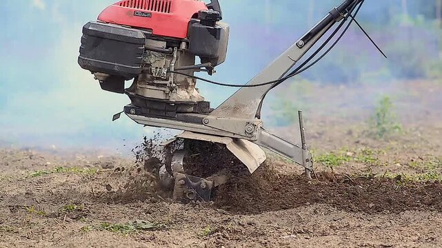 Manual gasoline cultivator prepares soil for sowing. Walk-behind tractor plows land with plow. Smoke. Farming concept. High-quality video.