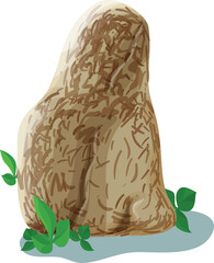 vector illustration of patterned rock