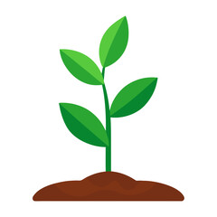 Fresh Green Sprout Illustration