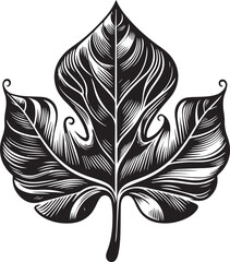 Elegant, stylized black and white line drawing of a fig leaf silhouette vector illustration