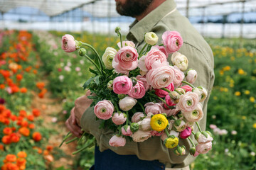 Close up shot of a farmer holding freshly picked flowers. Copy space, background.