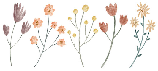 Delicate watercolor flowers in pastel tones. Handpainted botanical set features wildflowers and garden-inspired charm..Perfect for vintage floralset, romantic design, or natural decor.