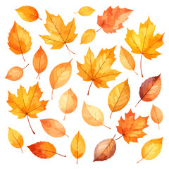 Obraz premium Set of vibrant autumn leaves with detailed veins, featuring maple and other shapes in yellow, orange, and red hues.