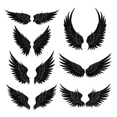 Obraz premium Set of various black stylized wings and feathers, isolated on white background