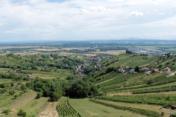 Vineyards in Lendava from the lookout tower, Slovenia