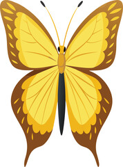 Real Style Yellow Butterfly Illustration.