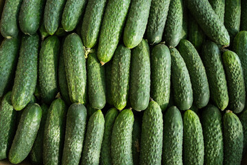 Fresh organic cucumbers stacked in rows, top view of green vegetables at farmers market, healthy raw produce for salad ingredients, vegetarian food and clean eating concept, selected focus