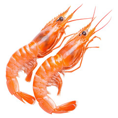 Fresh Shrimp Delicacies on White Background for Seafood Dishes, isolated on transparent background.