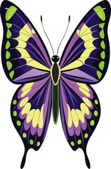 Realistic Butterfly Wings on transfarent.