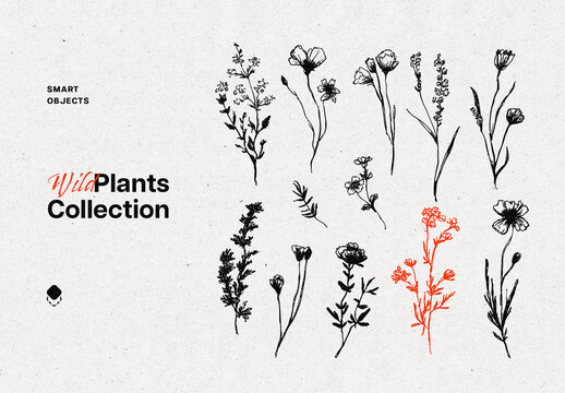 Wild Flowers Graphic Set
