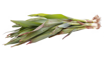 A bunch of fresh ramps on transparent background