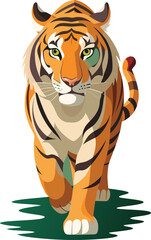 Single Tiger Walking Forward Vector.
