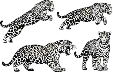 Jaguar Vector Set – Powerful Silhouettes of the Jungle Predator in Motion