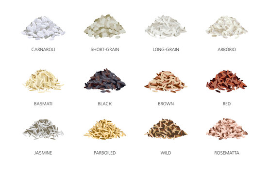 Rice types. Handfuls of grains, different varieties, asian grain culture, processed seeds, round, long, jasmine, red and brown, nutrition elements, healthy natural products, tidy vector set