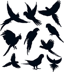 Silhouettes of parrots in different styles. Use in tropical  or graphic design projects.


