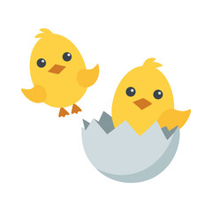 Two adorable yellow chicks one hatched from egg isolated on white background
