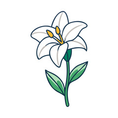 Naklejka premium Isolated vector illustration of a single white lily with green stem