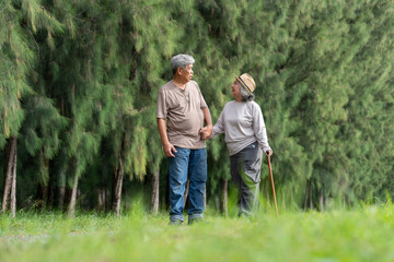 A joyful senior couple explores the outdoors together, embracing retirement with love and care. Their romantic bond reflects a strong relationship, celebrating life through travel and shared moments.