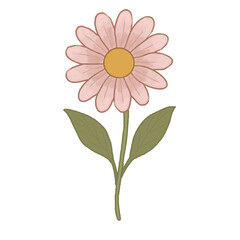 Pink Daisy – Hand-drawn Minimal Floral Vector Clipart