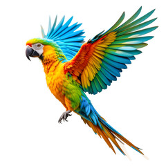 Fototapeta premium parrot spreading wings in mid-flight, vibrant tropical colors on transparent background | blue and yellow macaw ara ararauna