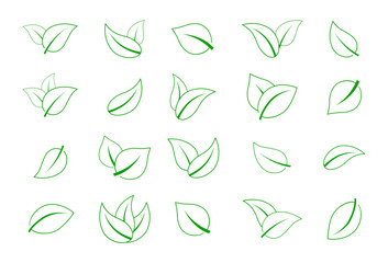 Green outline leaf icons set. Leaves icon. Collection green leaf. Vegan, tree, plant, fresh, energy and healthy nutrition concept.