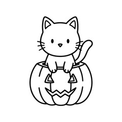 halloween cat with pumpkin