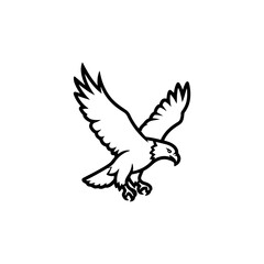 eagle in flight