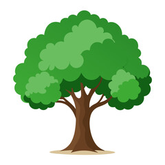 green tree with green leaves