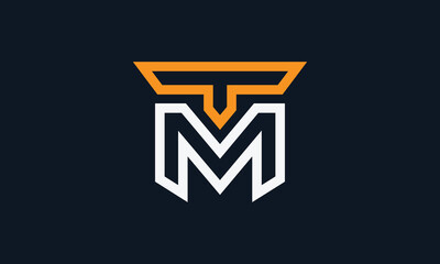 TM or MT outline monogram logo design