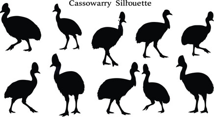 Cassowary bird silhouette vector, wild animal clipart, exotic flightless bird design, tropical bird pose graphic, black cassowary shapes, Australian bird illustration © Shammi's World