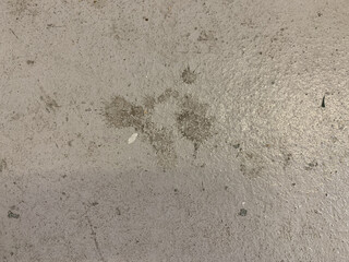 Distressed floor texture from a commercial printers	

