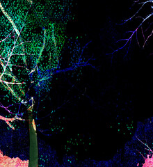 Ilustracja tło ciemna noc z oświetlonymi drzewami abstrakcja.