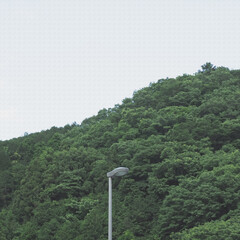 森と都市が交差する街灯のある風景。イラスト風の写真。