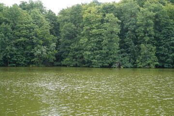 Der Mühlenteich im Naturpark Barnim im Sommer