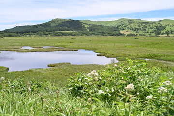 夏の八島湿原／長野県